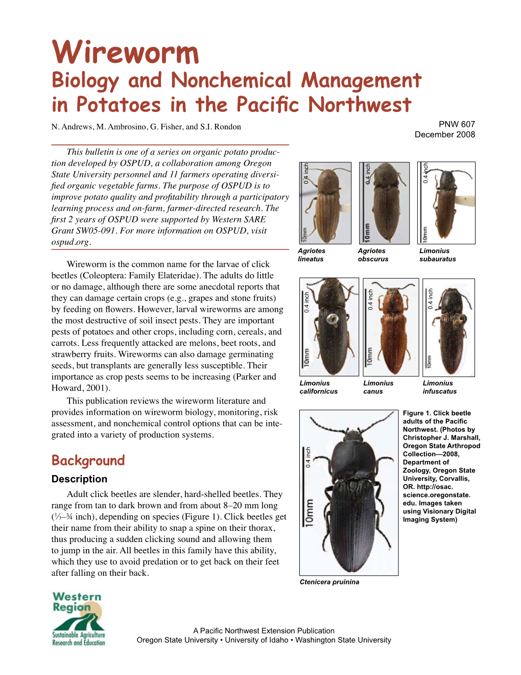 FINAL-Wireworm-Pnw607.Pdf