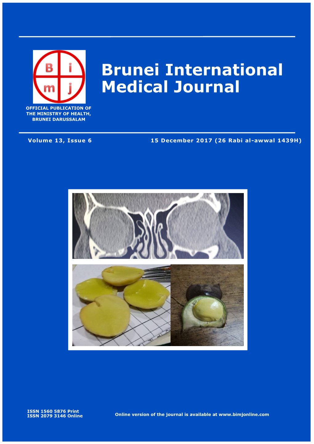 Brunei International Medical Journal