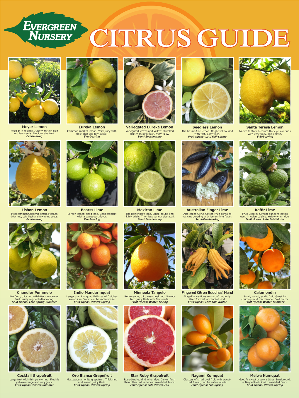 Citrus Guide