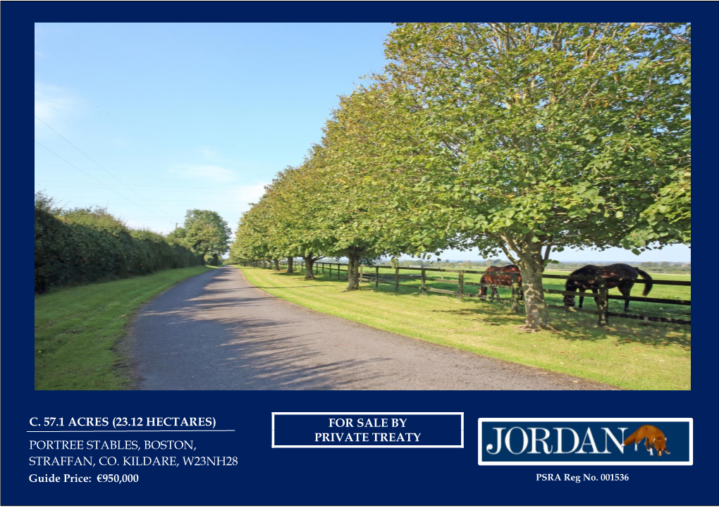 C. 57.1 Acres (23.12 Hectares) Portree Stables, Boston, Straffan, Co. Kildare, W23nh28 for Sale by Private Treaty