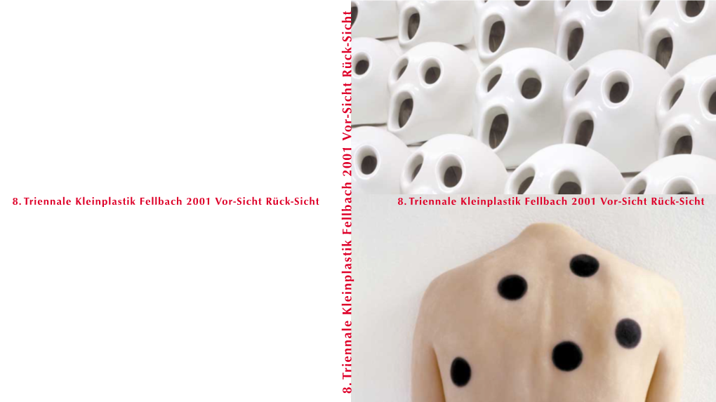 8.Triennale Klein Plastik Fellbach 200 1 V O R-Sicht R Ü Ck-Sicht