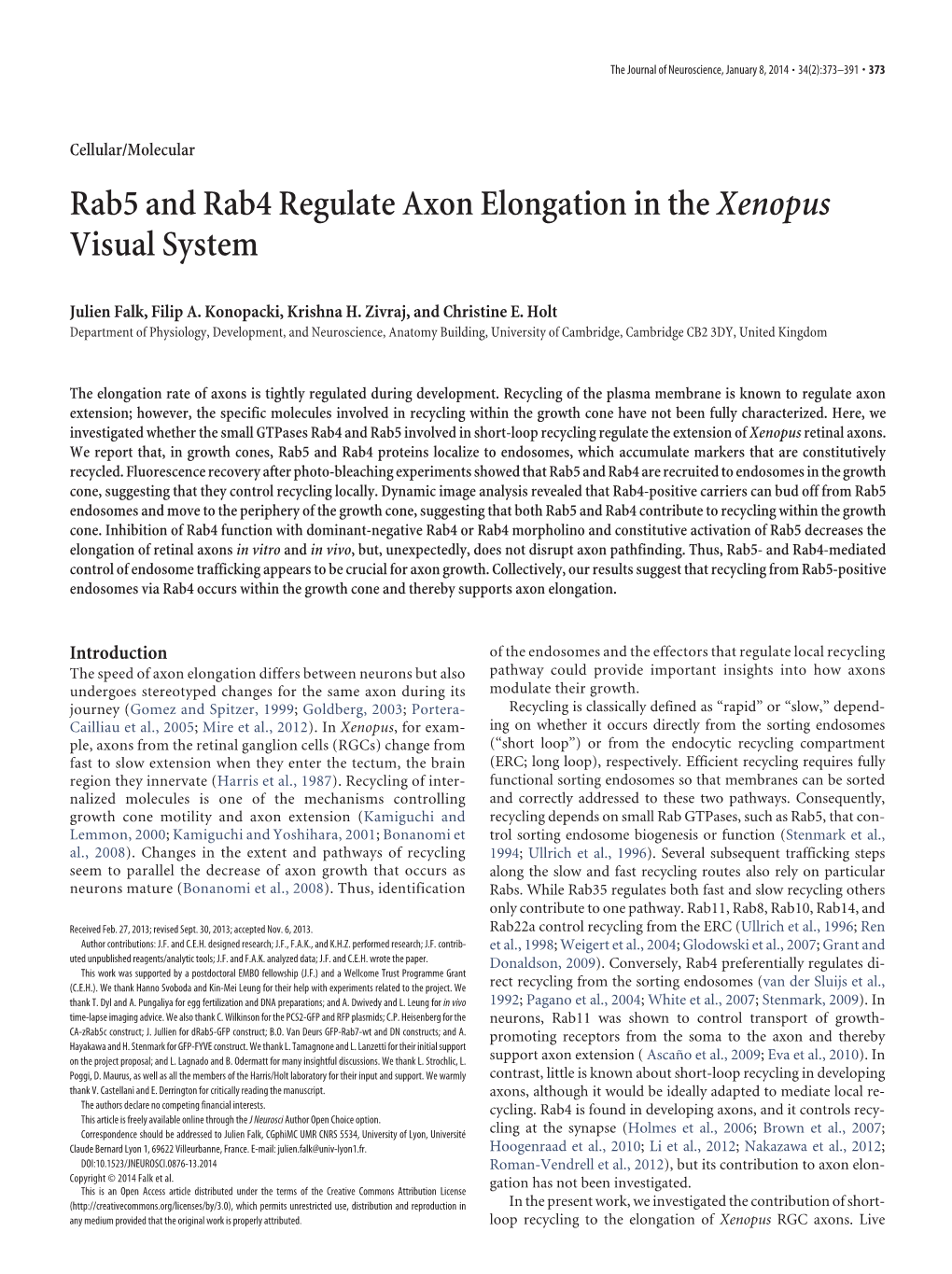 Rab5 and Rab4 Regulate Axon Elongation in Thexenopus Visual System