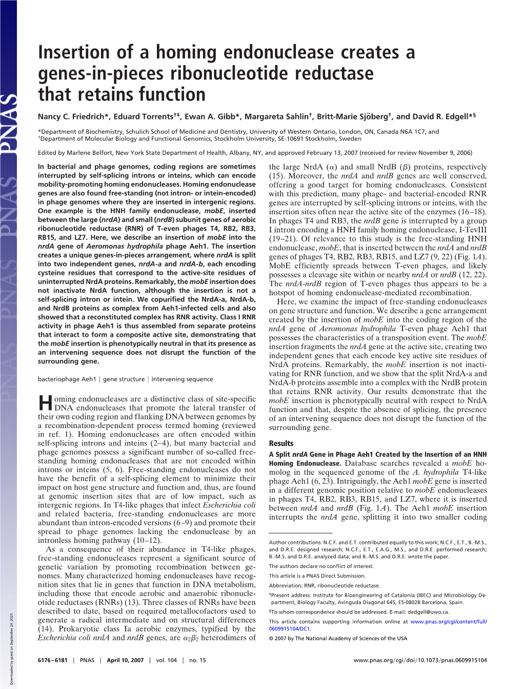 Insertion of a Homing Endonuclease Creates a Genes-In-Pieces Ribonucleotide Reductase That Retains Function