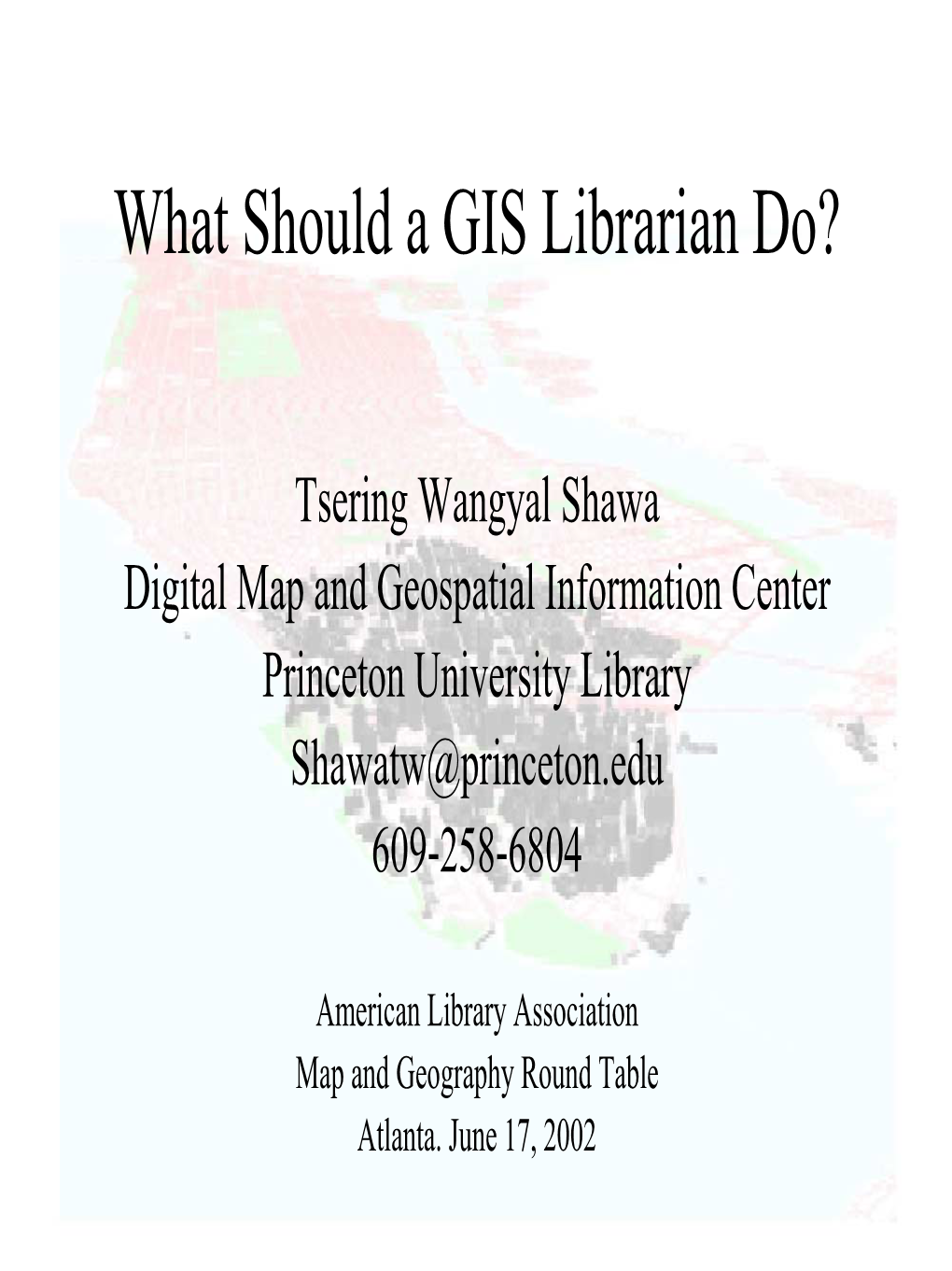 What Should a GIS Librarian Do?