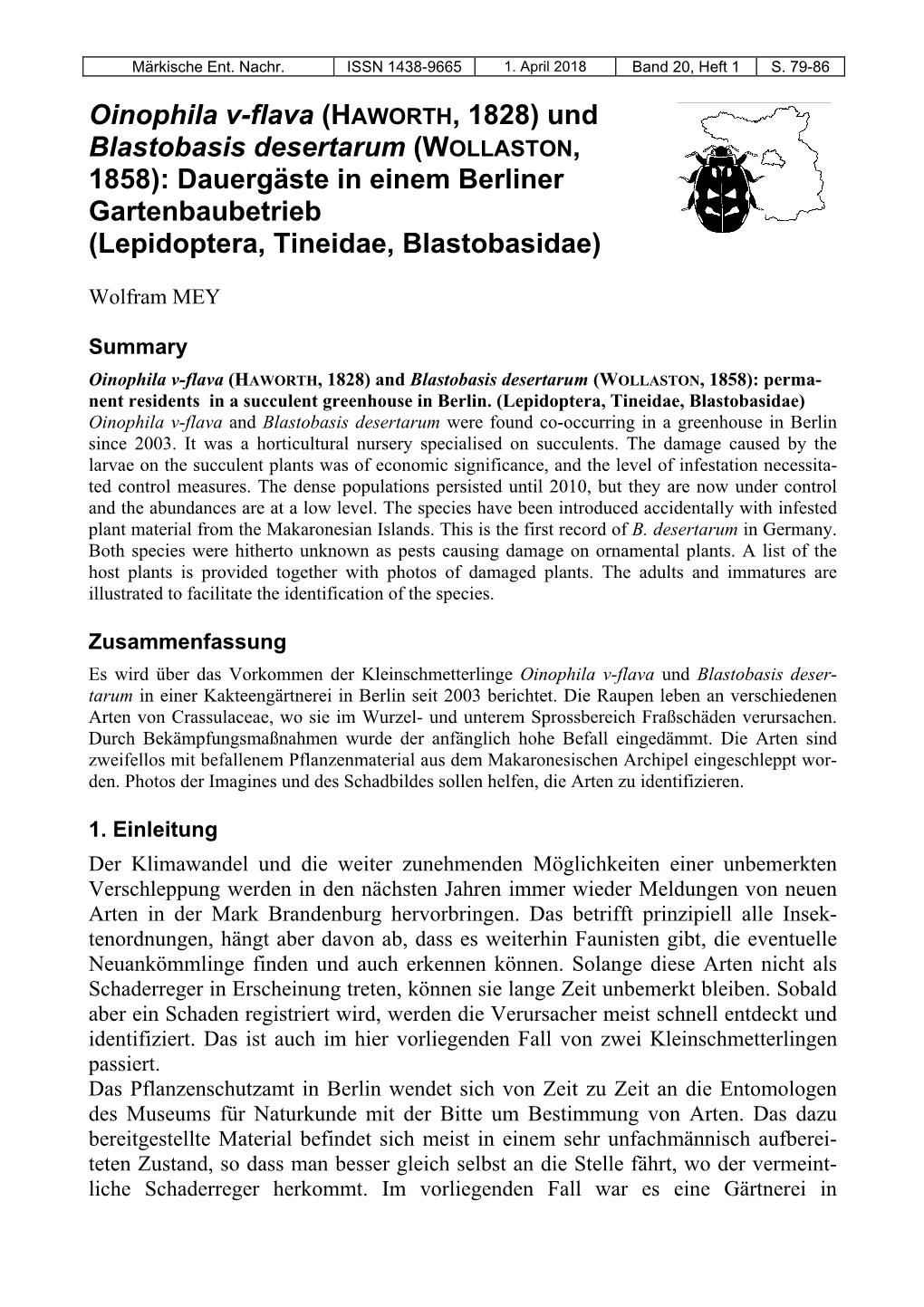 HAWORTH, 1828) Und Blastobasis Desertarum (WOLLASTON, 1858): Dauergäste in Einem Berliner Gartenbaubetrieb (Lepidoptera, Tineidae, Blastobasidae