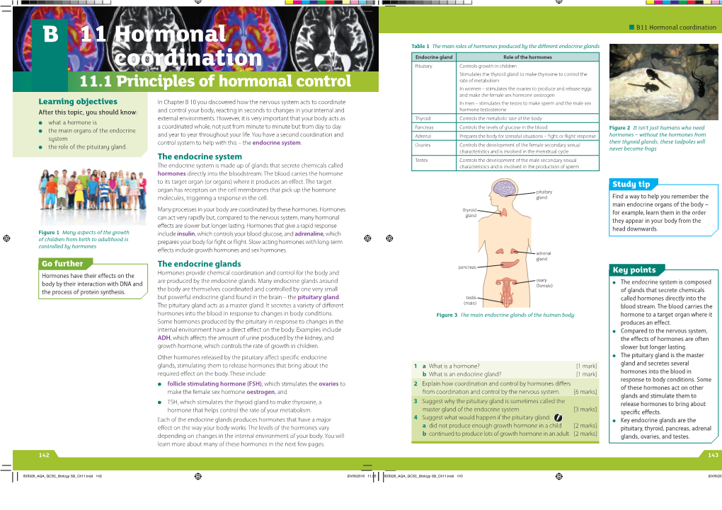 11 Hormonal Coordination Table 1 the Main Roles of Hormones Produced by the Different Endocrine Glands