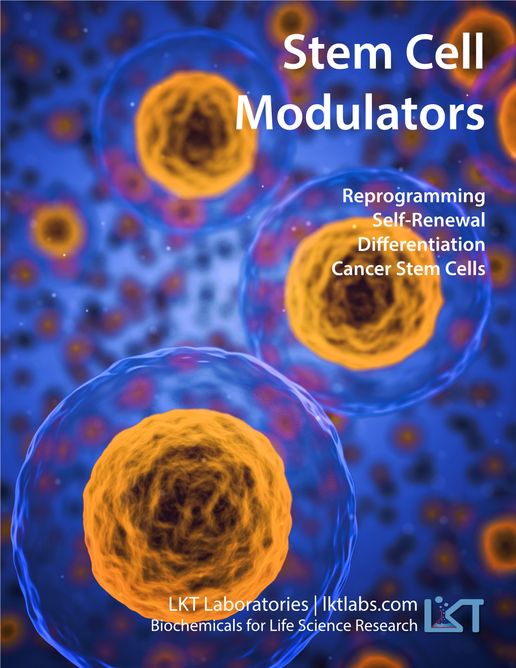 Stem Cell Modulators