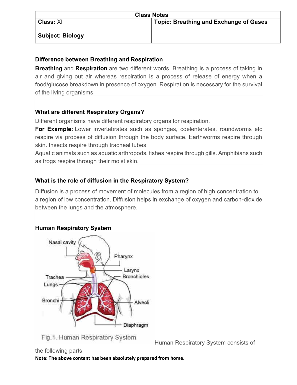 Class Notes Class: XI Topic: Breathing and Exchange of Gases Subject: Biology Difference Between Breathing and Respiration Breat