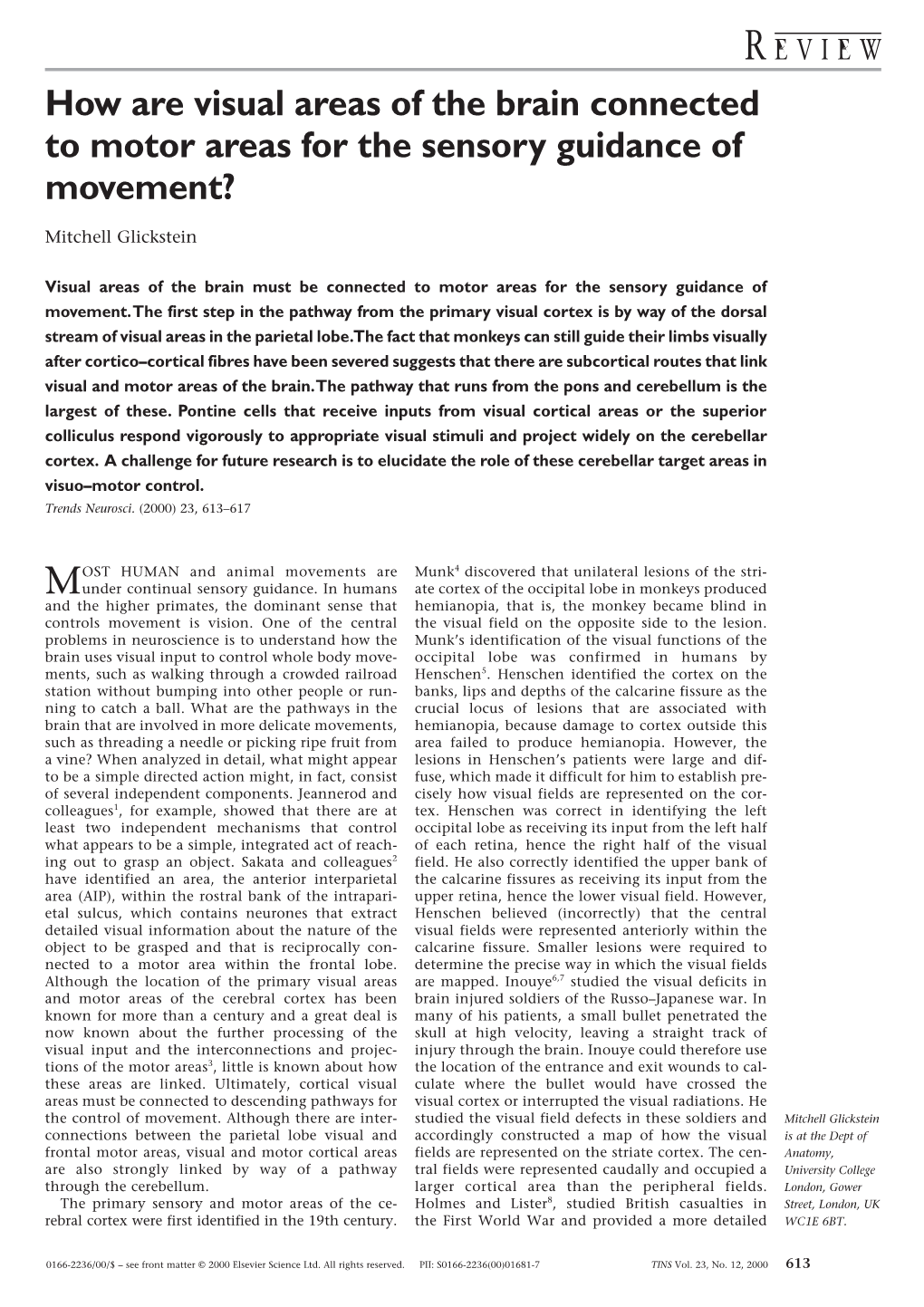 How Are Visual Areas of the Brain Connected to Motor Areas for the Sensory Guidance of Movement?