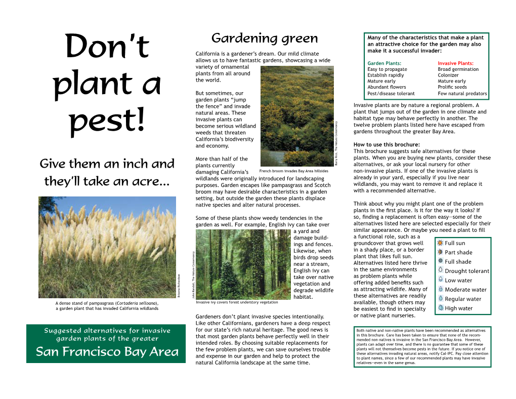 Don't Plant a Pest!