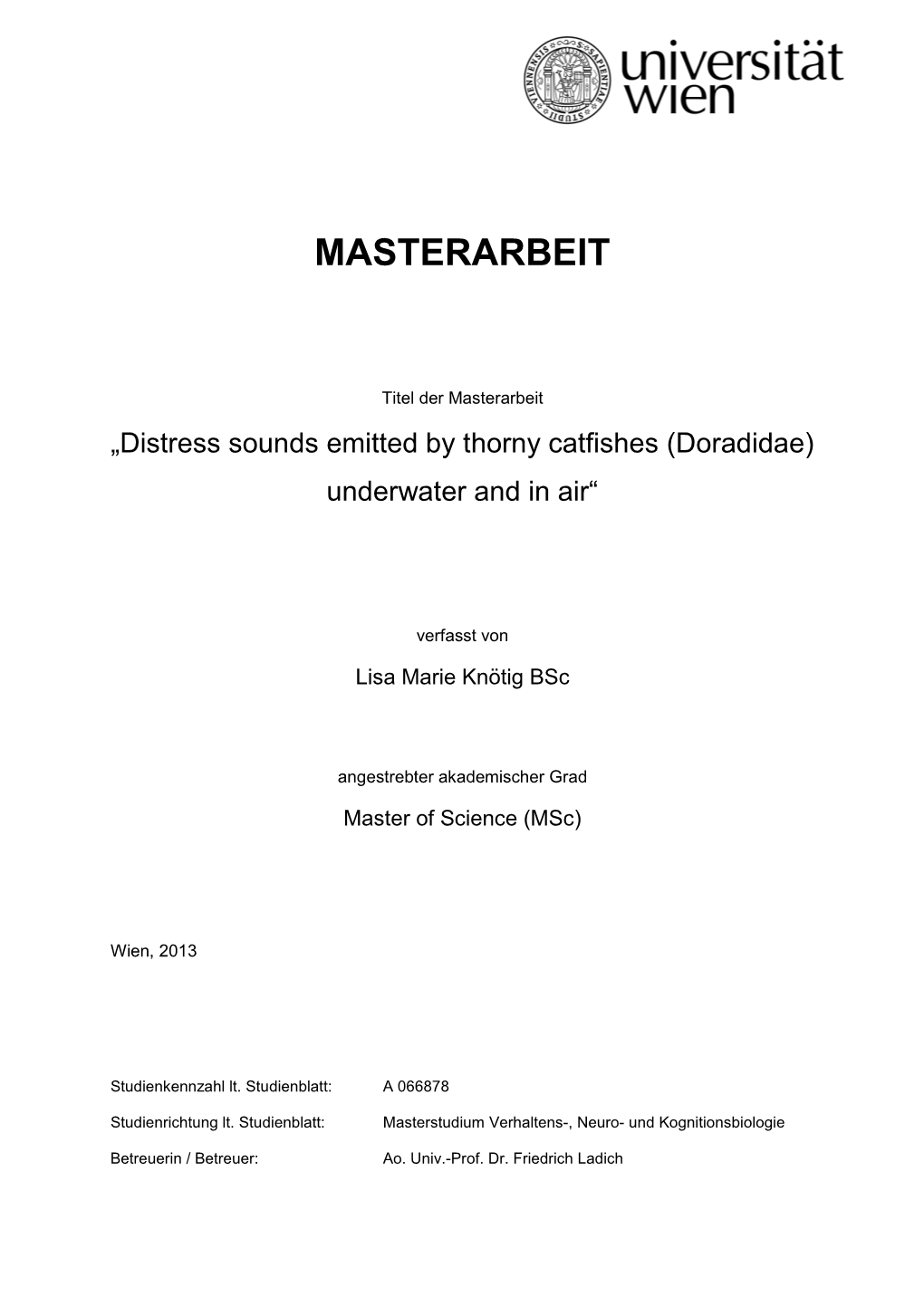 Masterarbeit