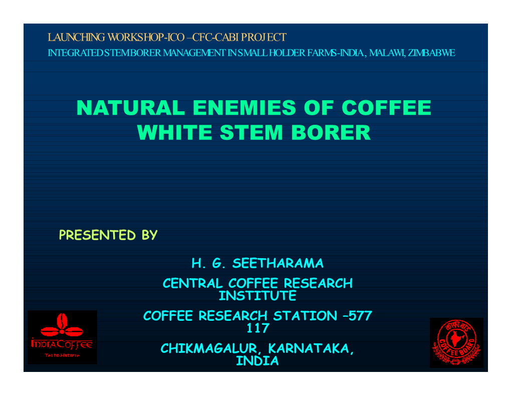 Natural Enemies of Coffee White Stem Borer