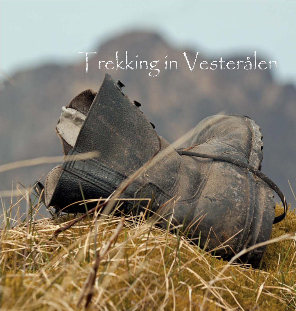 Trekkinginvesteralen.Pdf