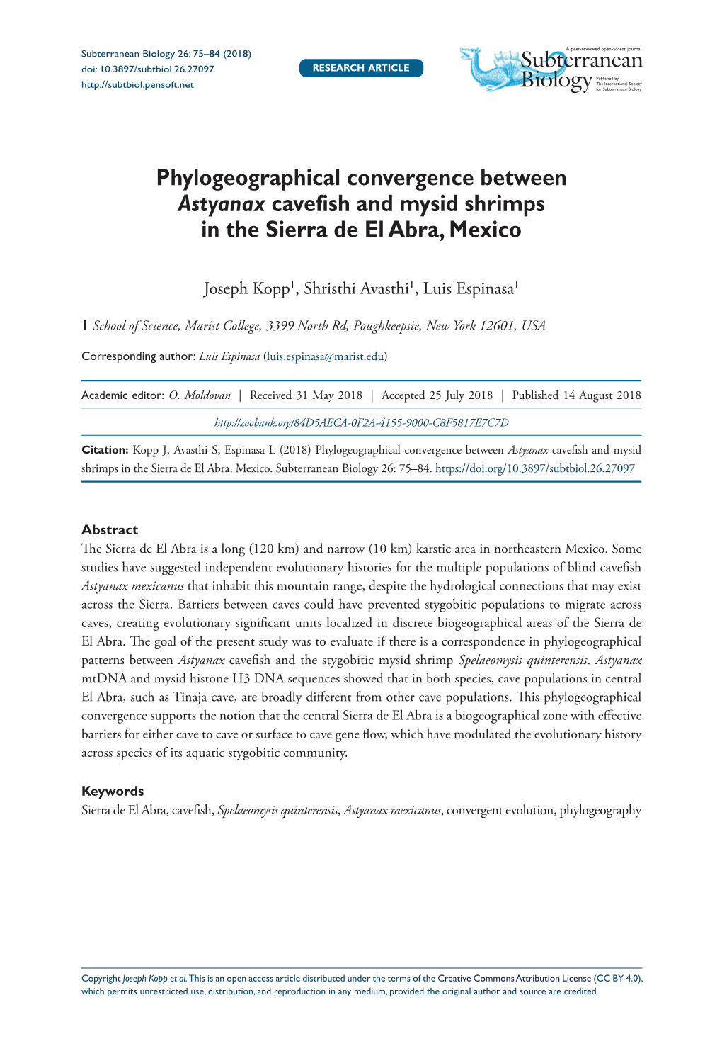 Phylogeographical Convergence Between Astyanax Cavefish and Mysid Shrimps in the Sierra De El Abra, Mexico