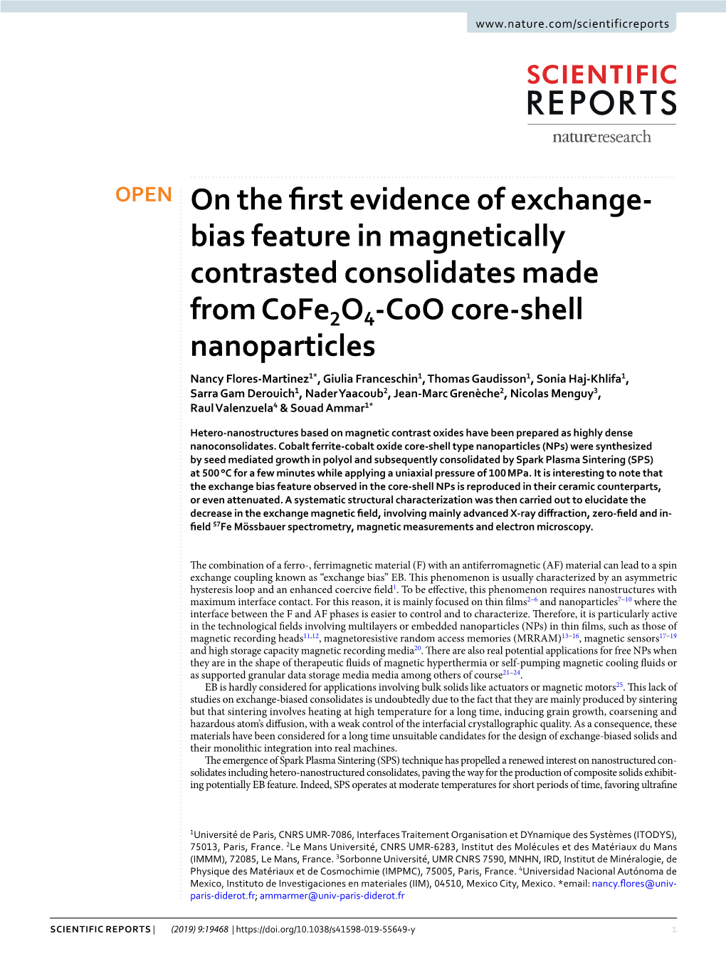 Bias Feature in Magnetically Contrasted Consolidates Made from Cofe2 O4