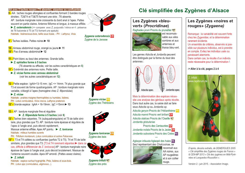 Clé Simplifiée Des Zygènes D'alsace