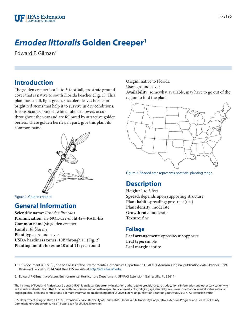 Ernodea Littoralis Golden Creeper1 Edward F