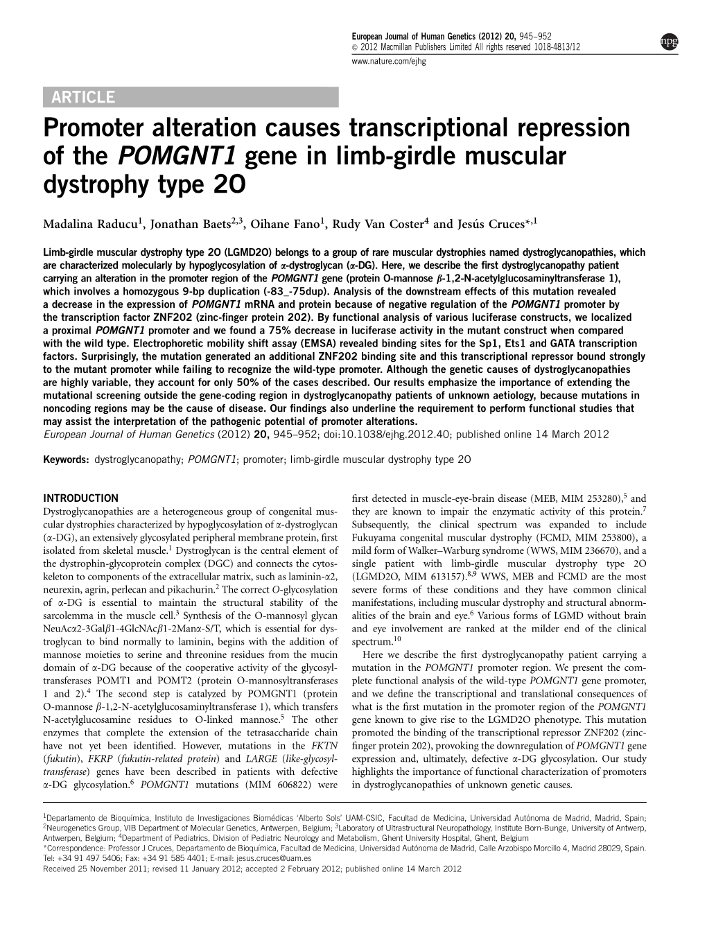 Promoter Alteration Causes Transcriptional Repression of the POMGNT1 Gene in Limb-Girdle Muscular Dystrophy Type 2O