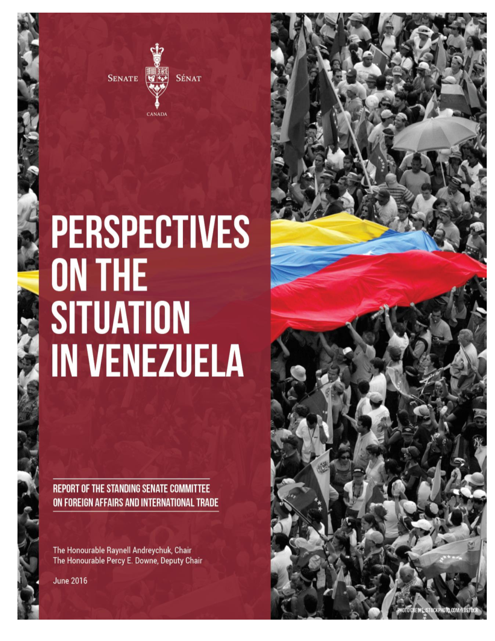 Perspectives on the Situation in Venezuela