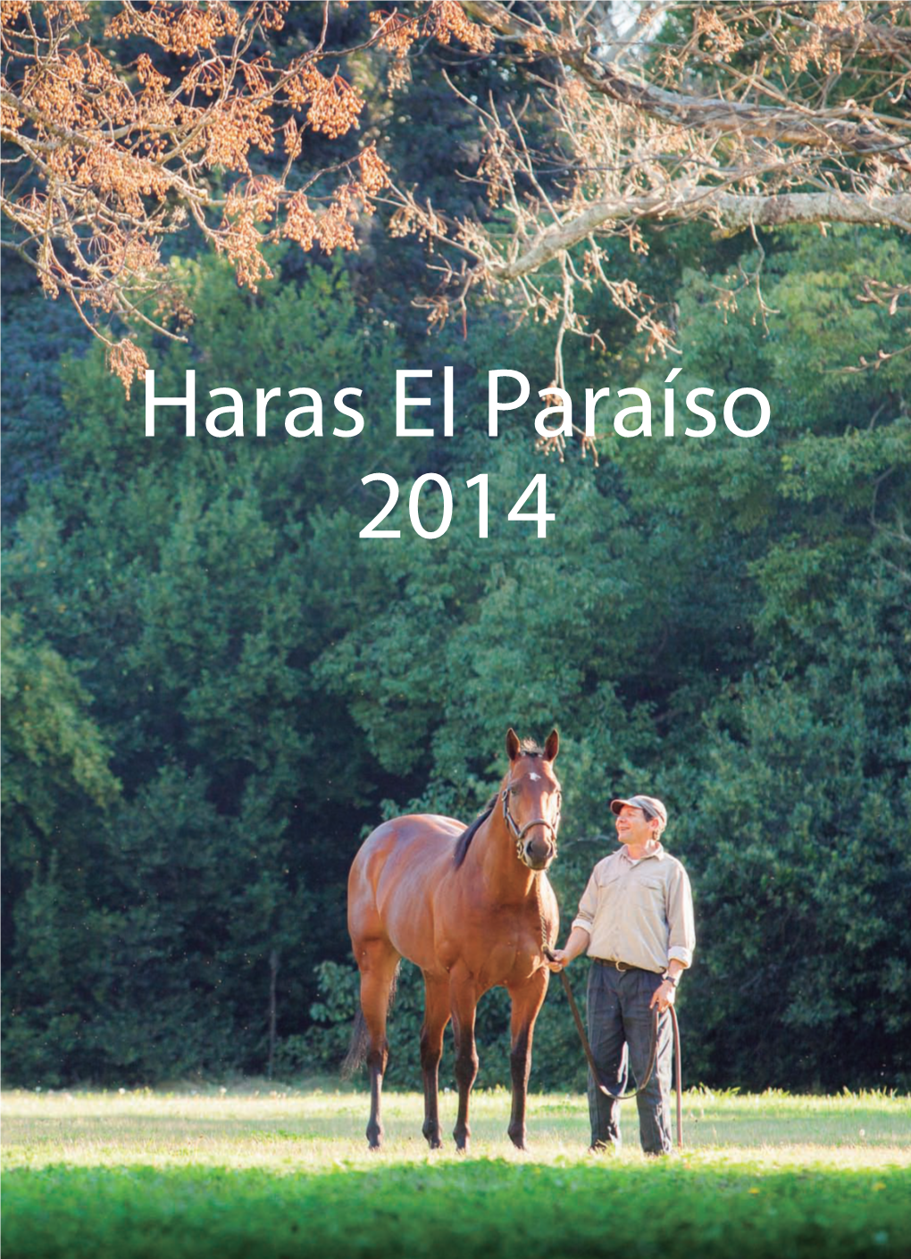 Haras El Paraíso 2014