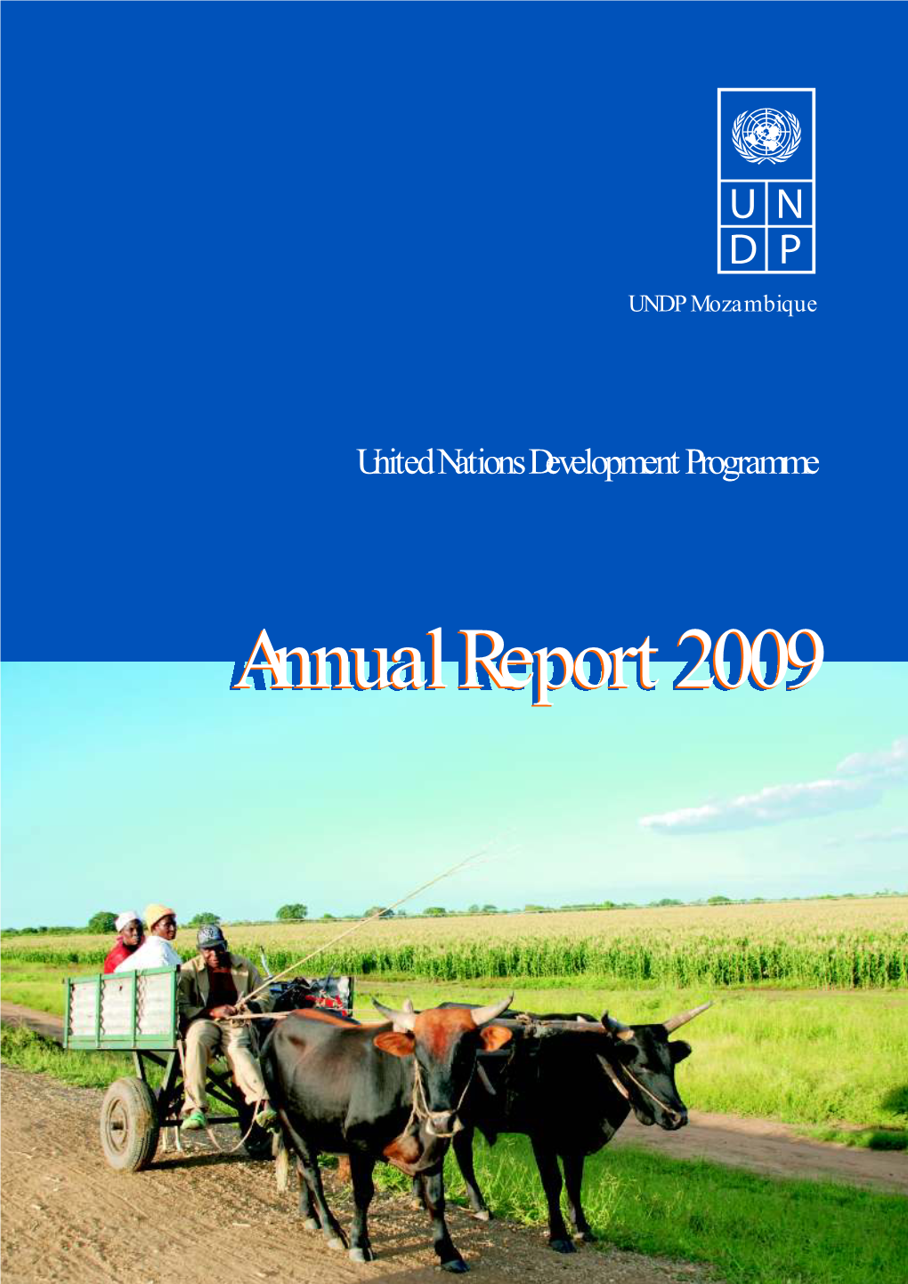 Annual Report 2009 UNDP Mozambique