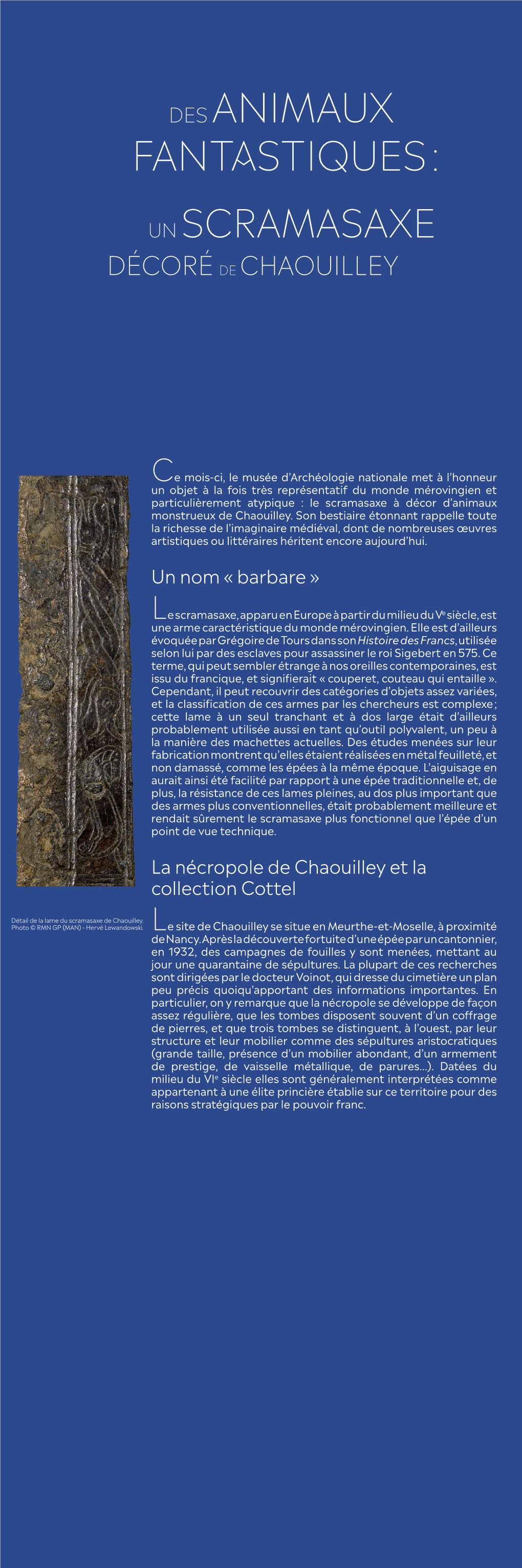 Un Nom « Barbare » La Nécropole De Chaouilley Et La Collection Cottel