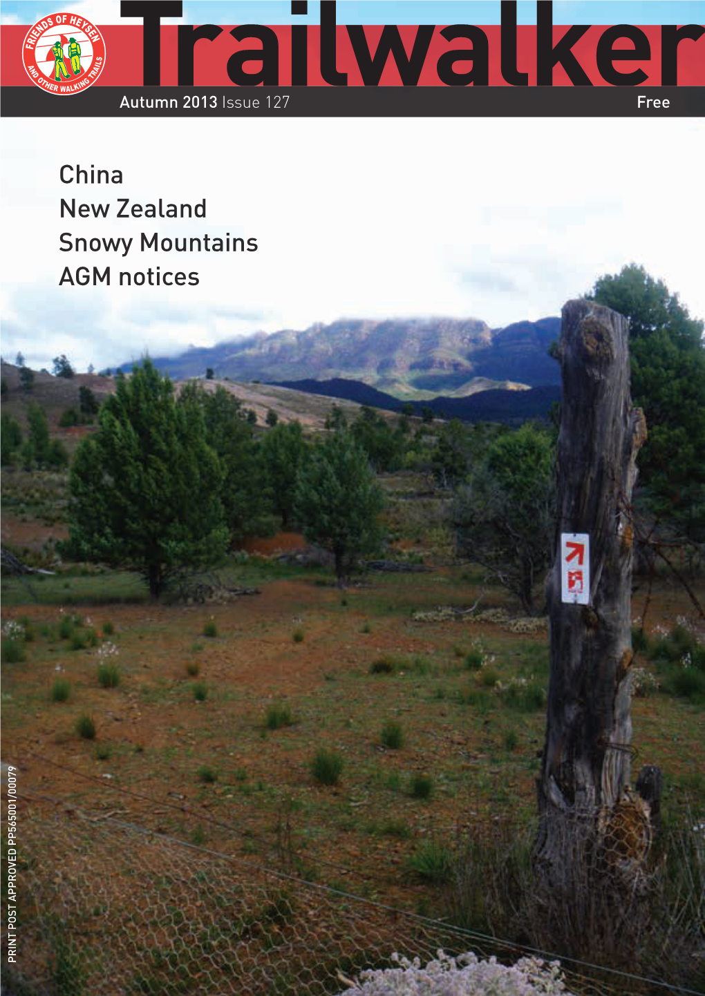 China New Zealand Snowy Mountains AGM Notices