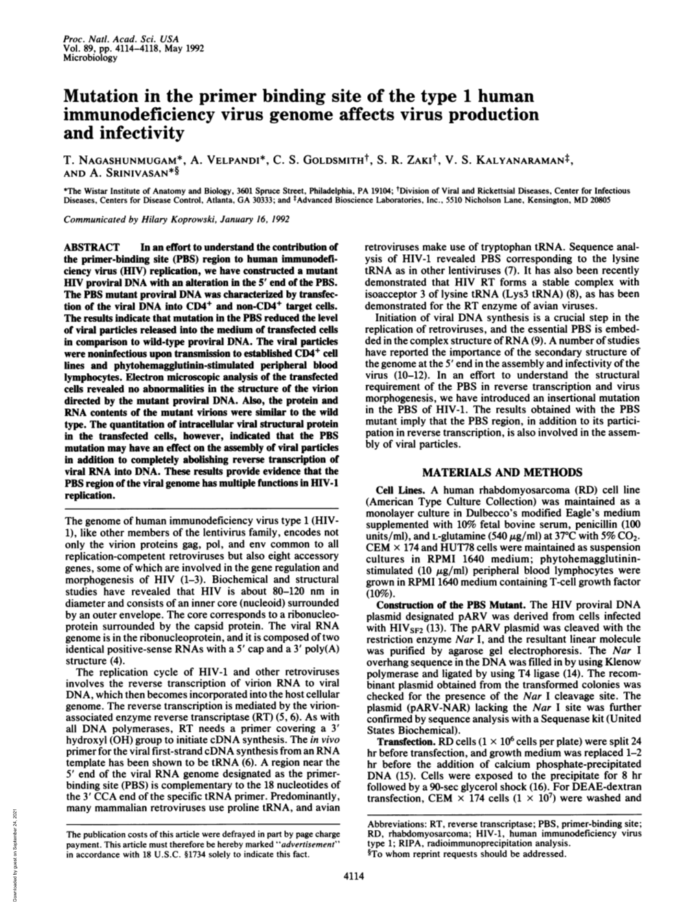 Immunodeficiency Virus Genome Affects Virus Production and Infectivity T