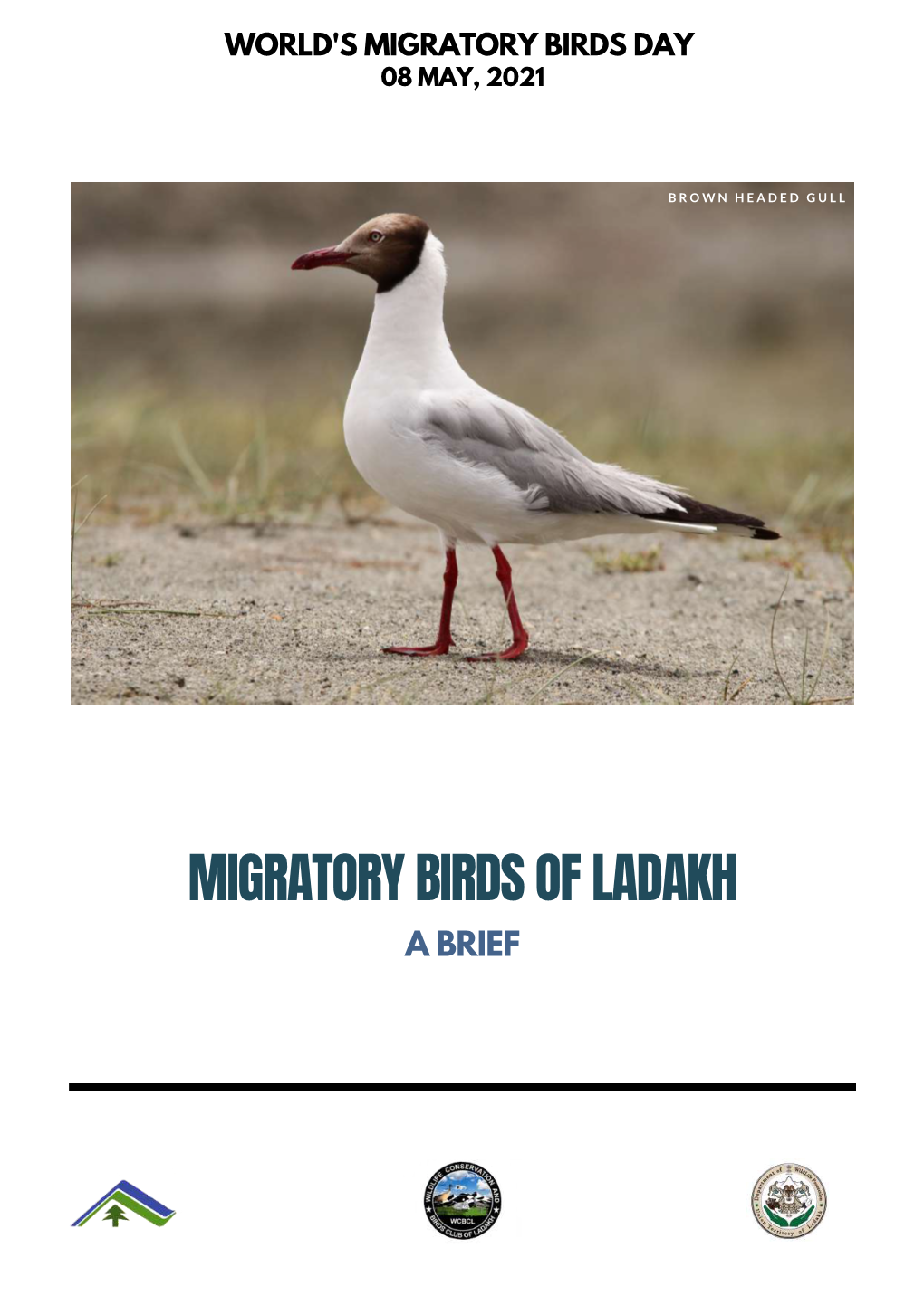 Migratory Birds of Ladakh a Brief Long Distance Continental Migration