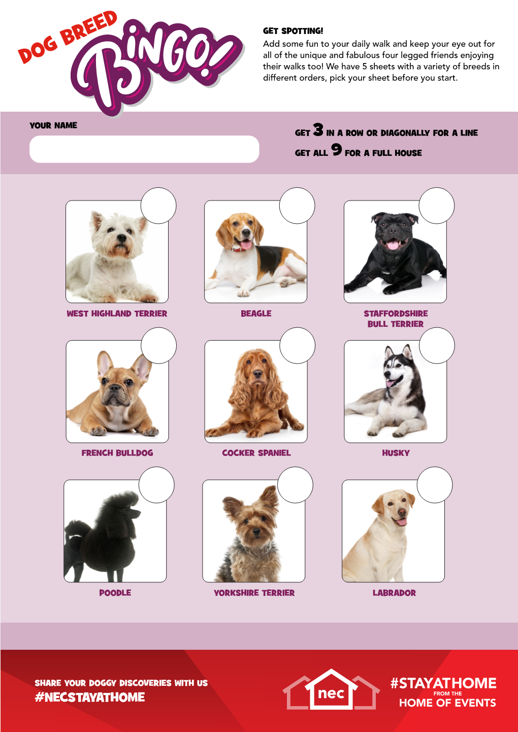 DOG BREED Their Walks Too! We Have 5 Sheets with a Variety of Breeds in Different Orders, Pick Your Sheet Before You Start