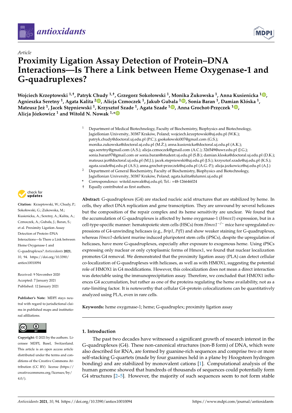 Proximity Ligation Assay Detection of Protein–DNA Interactions—Is There a Link Between Heme Oxygenase-1 and G-Quadruplexes?