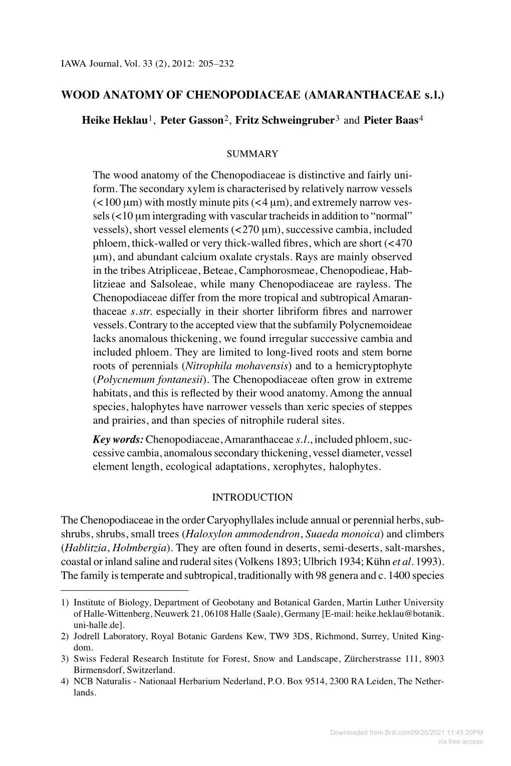 WOOD ANATOMY of CHENOPODIACEAE (AMARANTHACEAE S