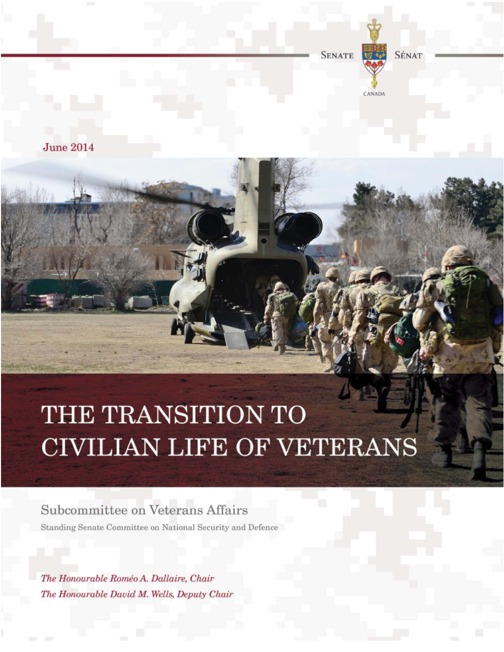 The Transition to Civilian Life of Veterans
