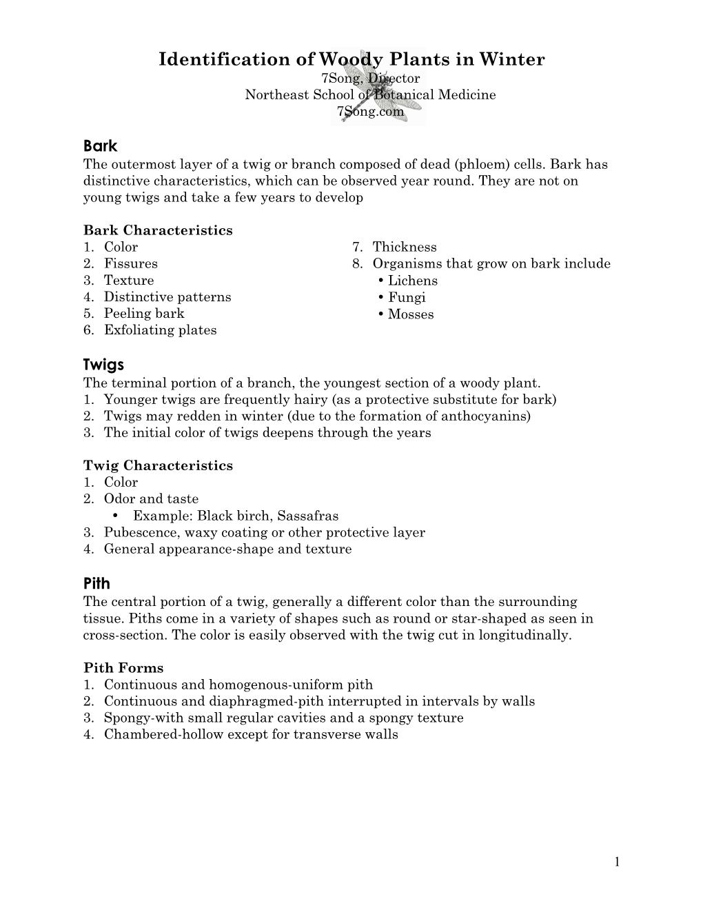 Identification of Woody Plants in Winter 7Song, Director Northeast School of Botanical Medicine 7Song.Com