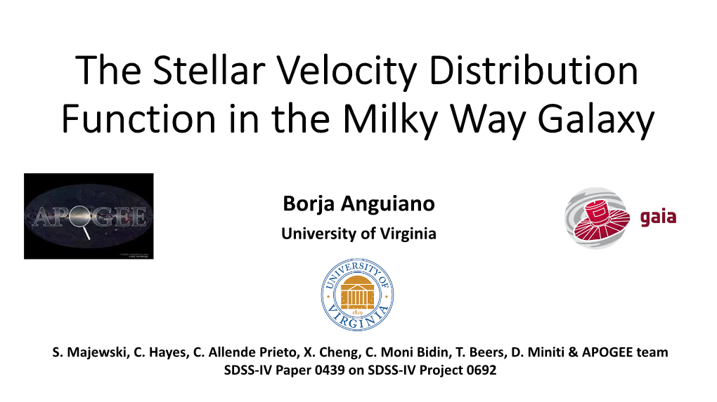 The Stellar Velocity Distribution Function in the Milky Way Galaxy