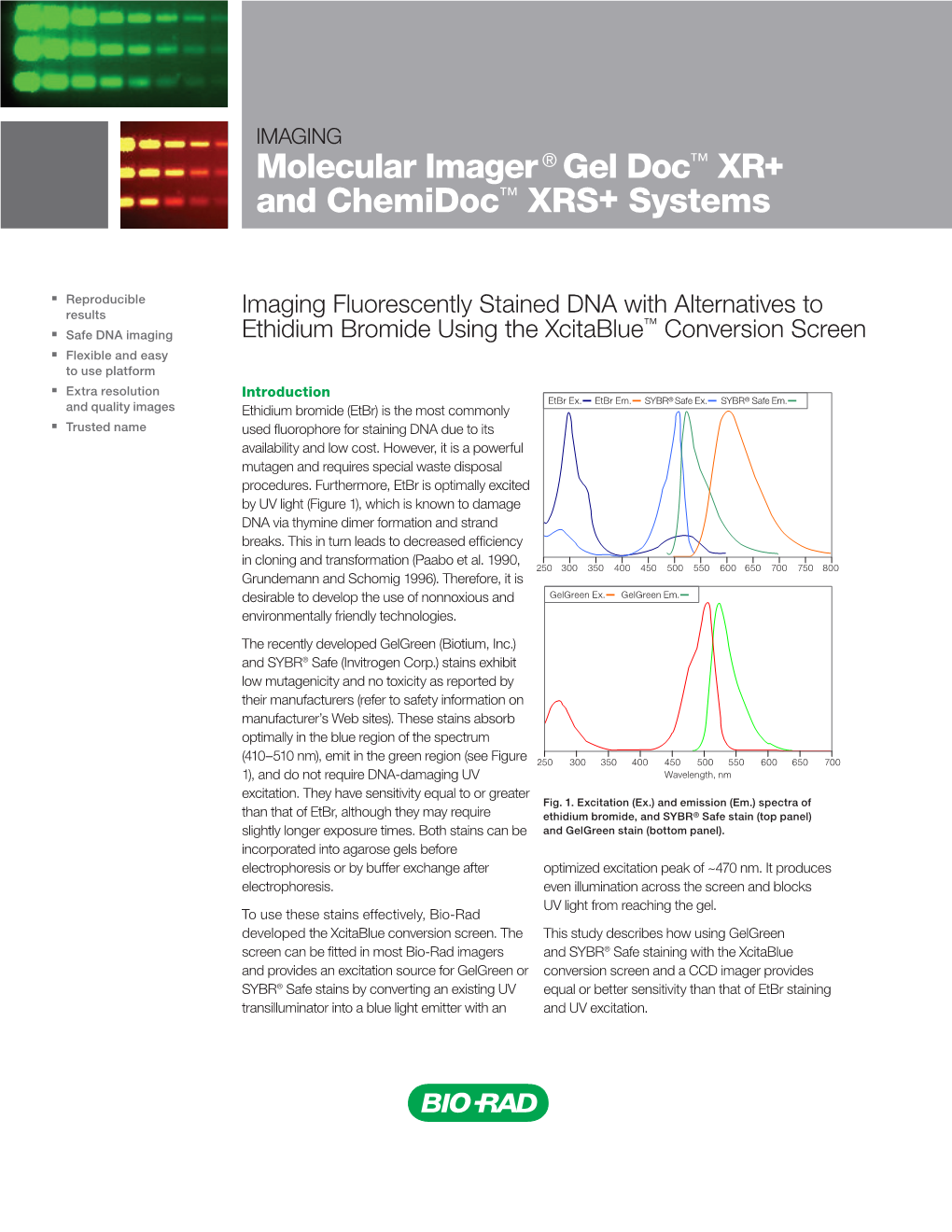 Molecular Imager ® Gel Doc™ XR+ and Chemidoc™ XRS+ Systems