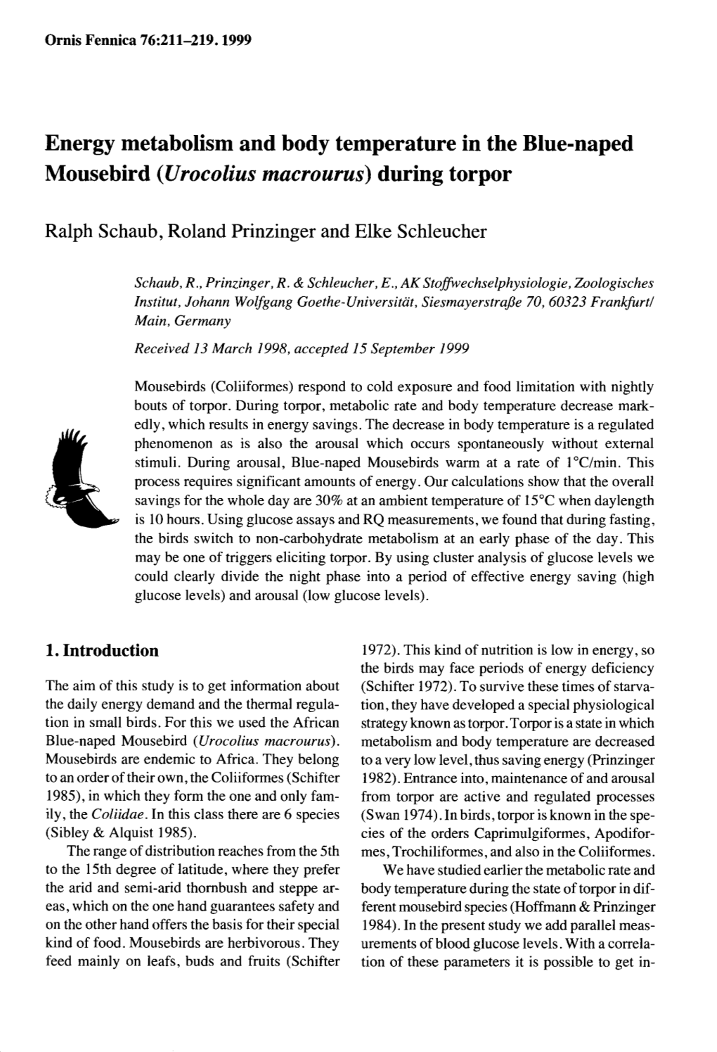 Energy Metabolism and Body Temperature in the Blue-Naped Mousebird (Urocolius Macrourus) During Torpor