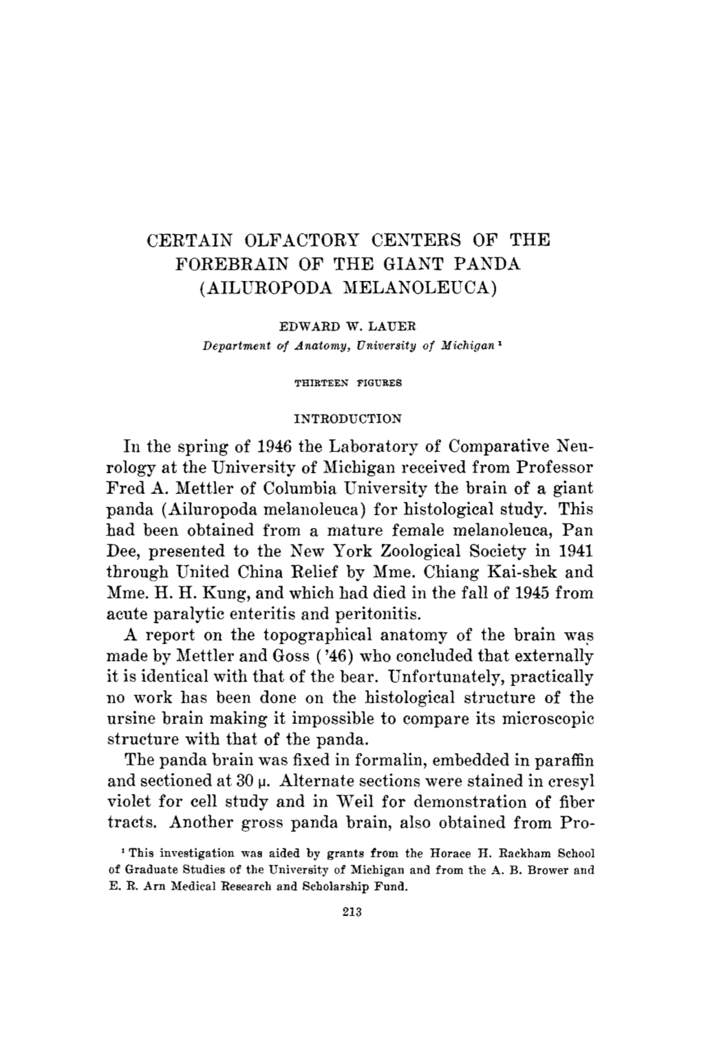 Certain Olfactory Centers of the Forebrain of the Giant Panda (Ailuropoda Melanoleuca)