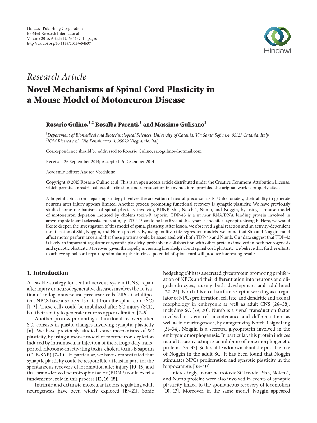 Novel Mechanisms of Spinal Cord Plasticity in a Mouse Model of Motoneuron Disease