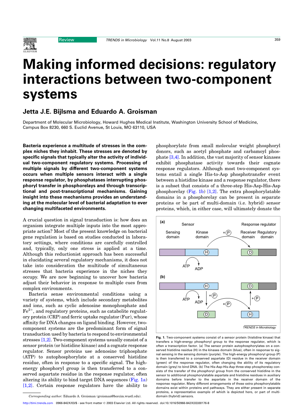 Making Informed Decisions: Regulatory Interactions Between Two-Component Systems