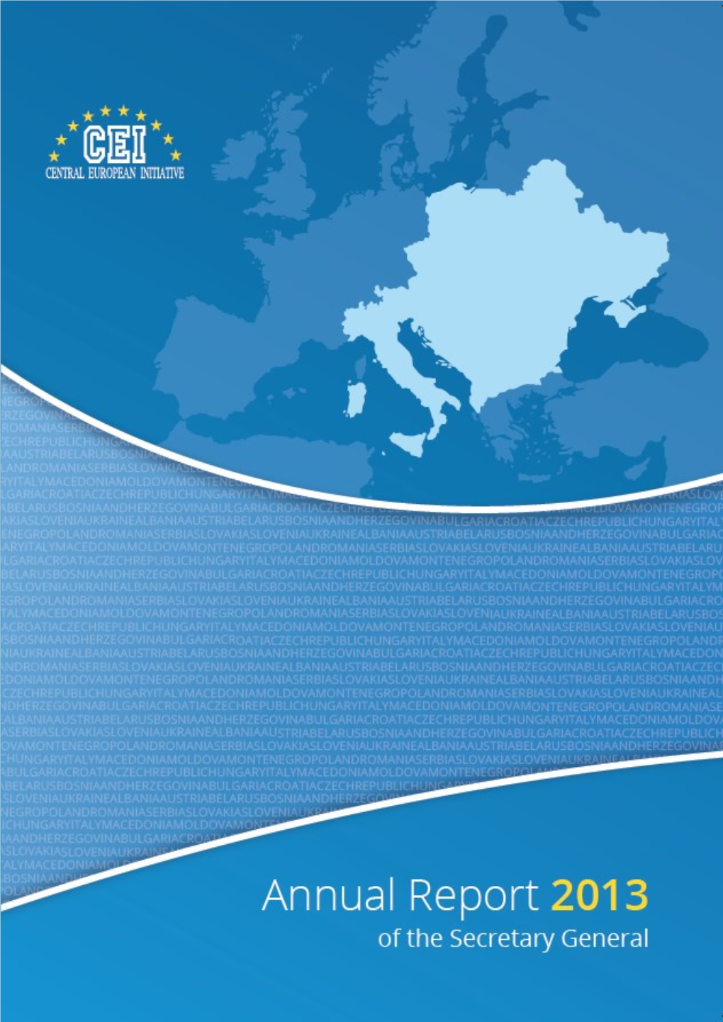 Annual Report 2013 of the Secretary General