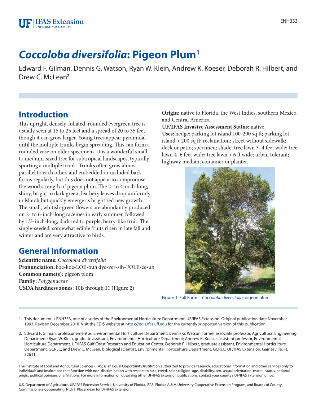 Coccoloba Diversifolia: Pigeon Plum1 Edward F