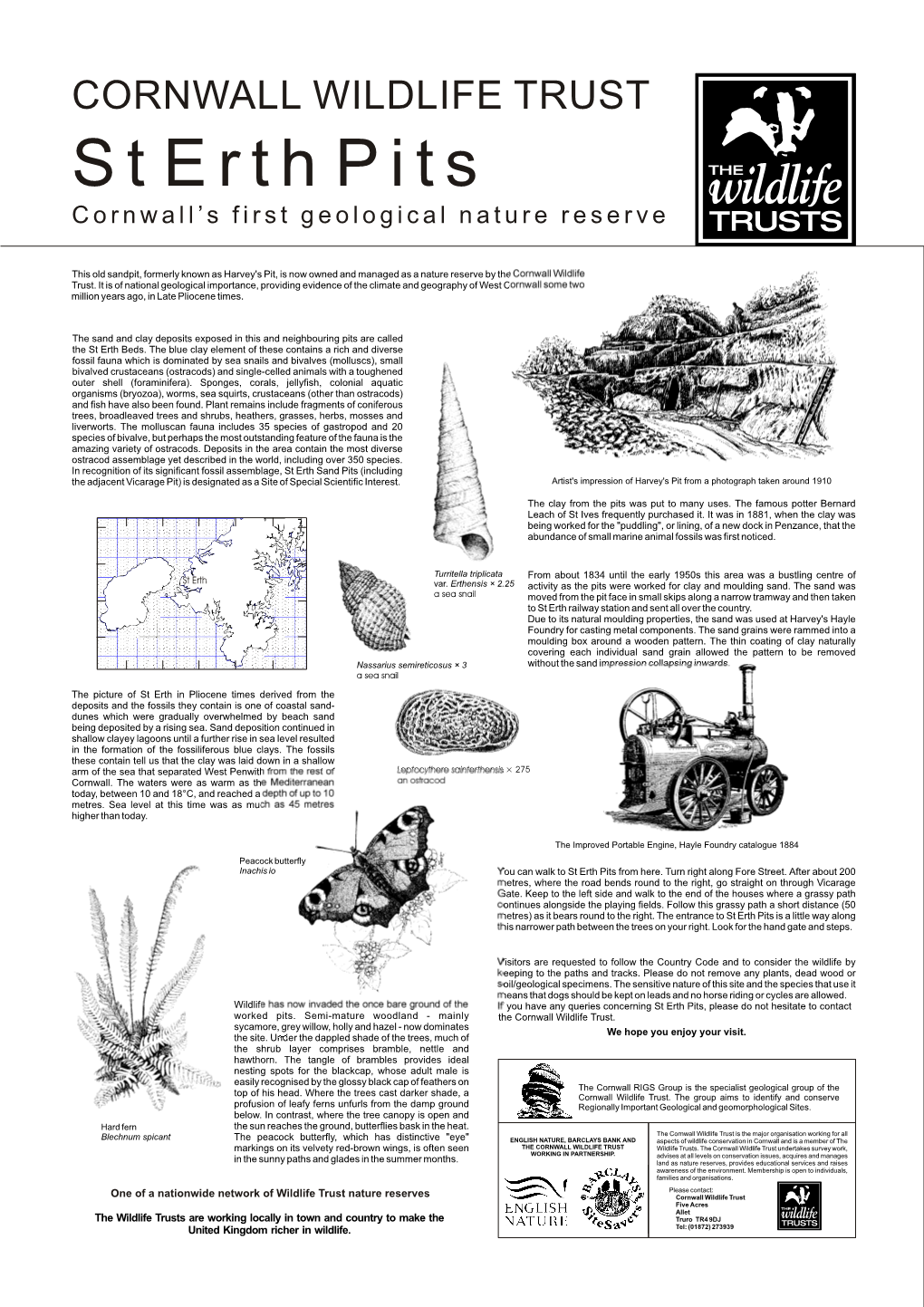 St Erth Pits Cornwall’S First Geological Nature Reserve