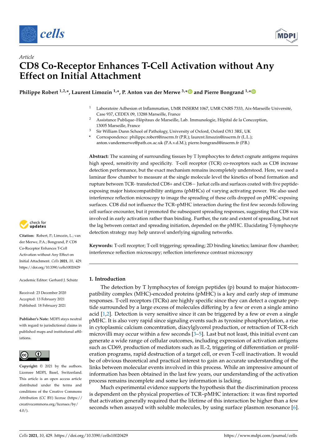 CD8 Co-Receptor Enhances T-Cell Activation Without Any Effect on Initial Attachment