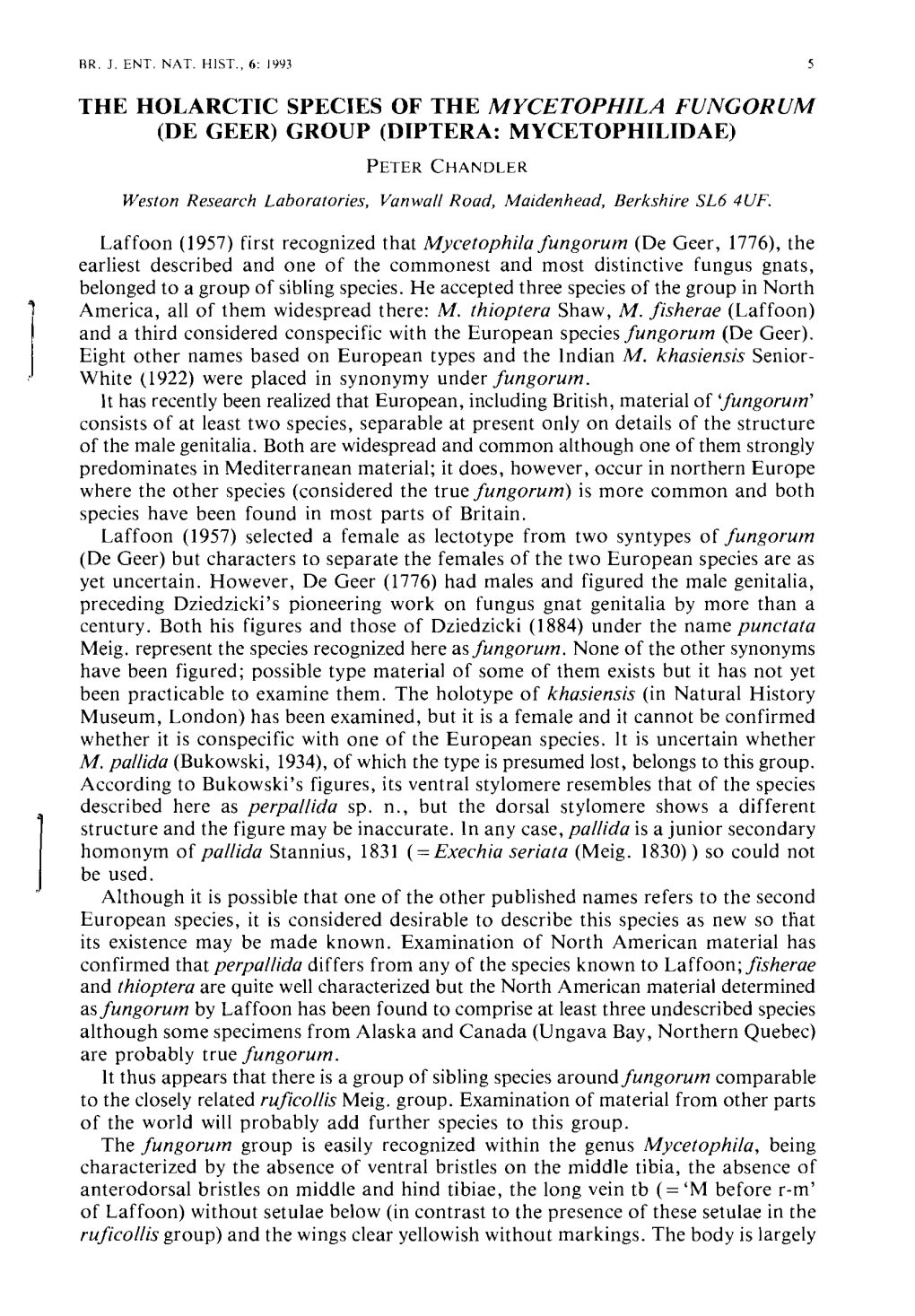 The Holarctic Species of the Mycetophila Fungorum (De Geer) Group (Diptera: Mycetophilidae)