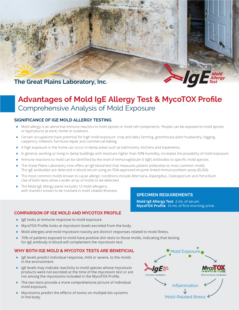 Advantages of Mold Ige Allergy Test & Mycotox Profile