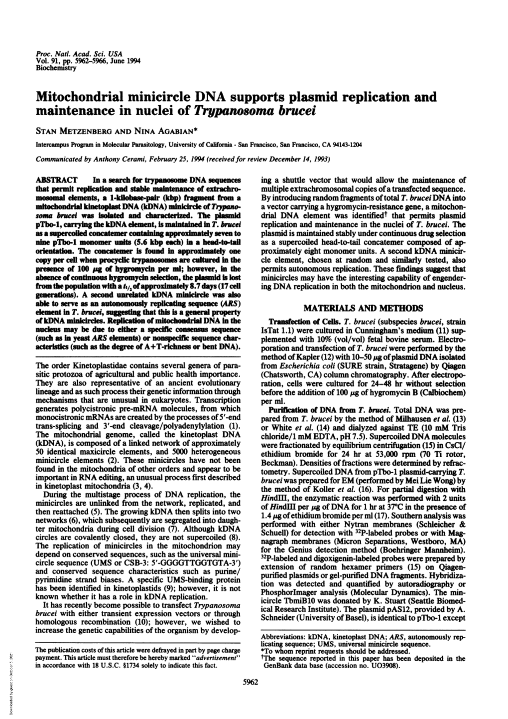 Mitochondrial Minicircle DNA Supports Plasmid Replication and Maintenance in Nuclei of Trypanosoma Brucei