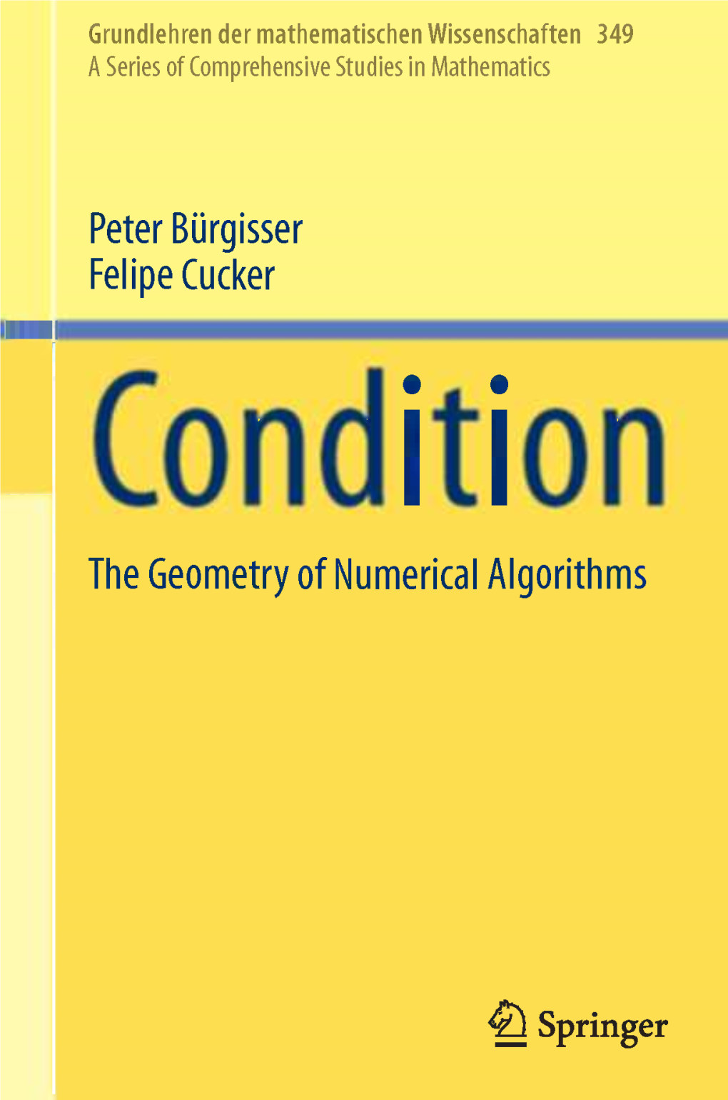 Condition the Geometry of Numerical Algorithms