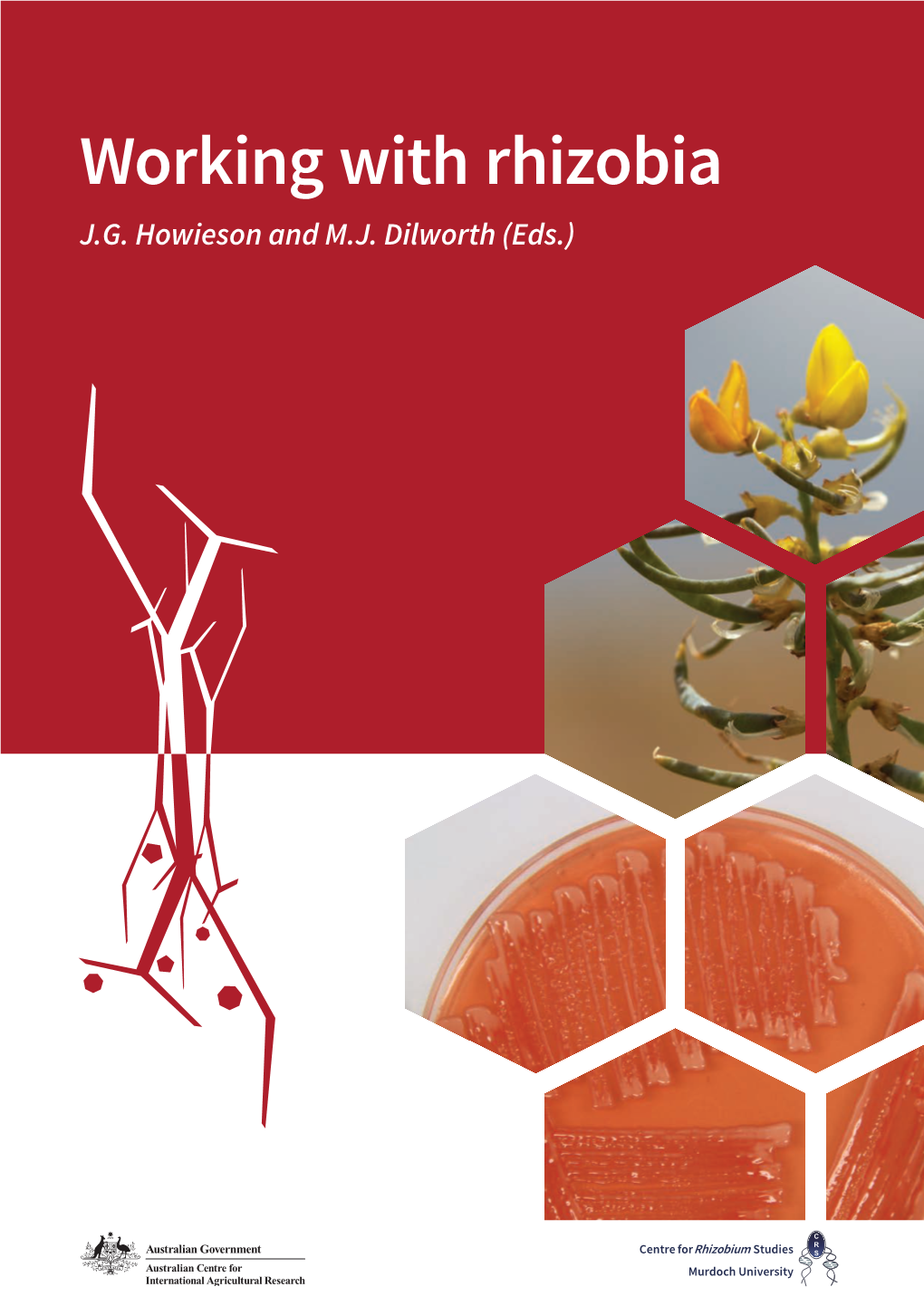 Working with Rhizobia J.G