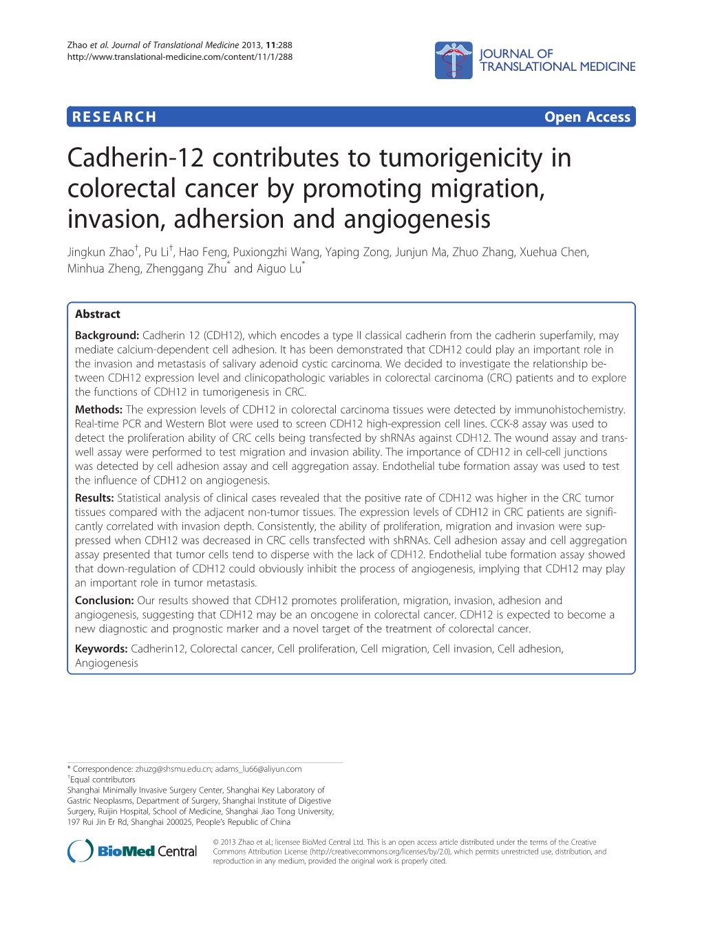 Cadherin-12 Contributes to Tumorigenicity in Colorectal Cancer